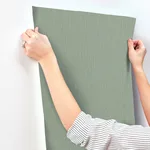 A-Street Prints Midolin Tallbarr wallpaper, color Jade, SKU 4171-17219