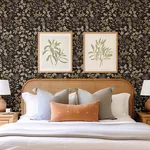 A-Street Prints Mildred - Black Wallpaper | Buy Online A-Street Prints Mildred wallpaper, color Black, SKU 4155-72817