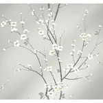 A-Street Prints Monterey - Silver Mist Wallpaper | Buy Online A-Street Prints Monterey wallpaper, color Silver Mist, SKU 2927-81808