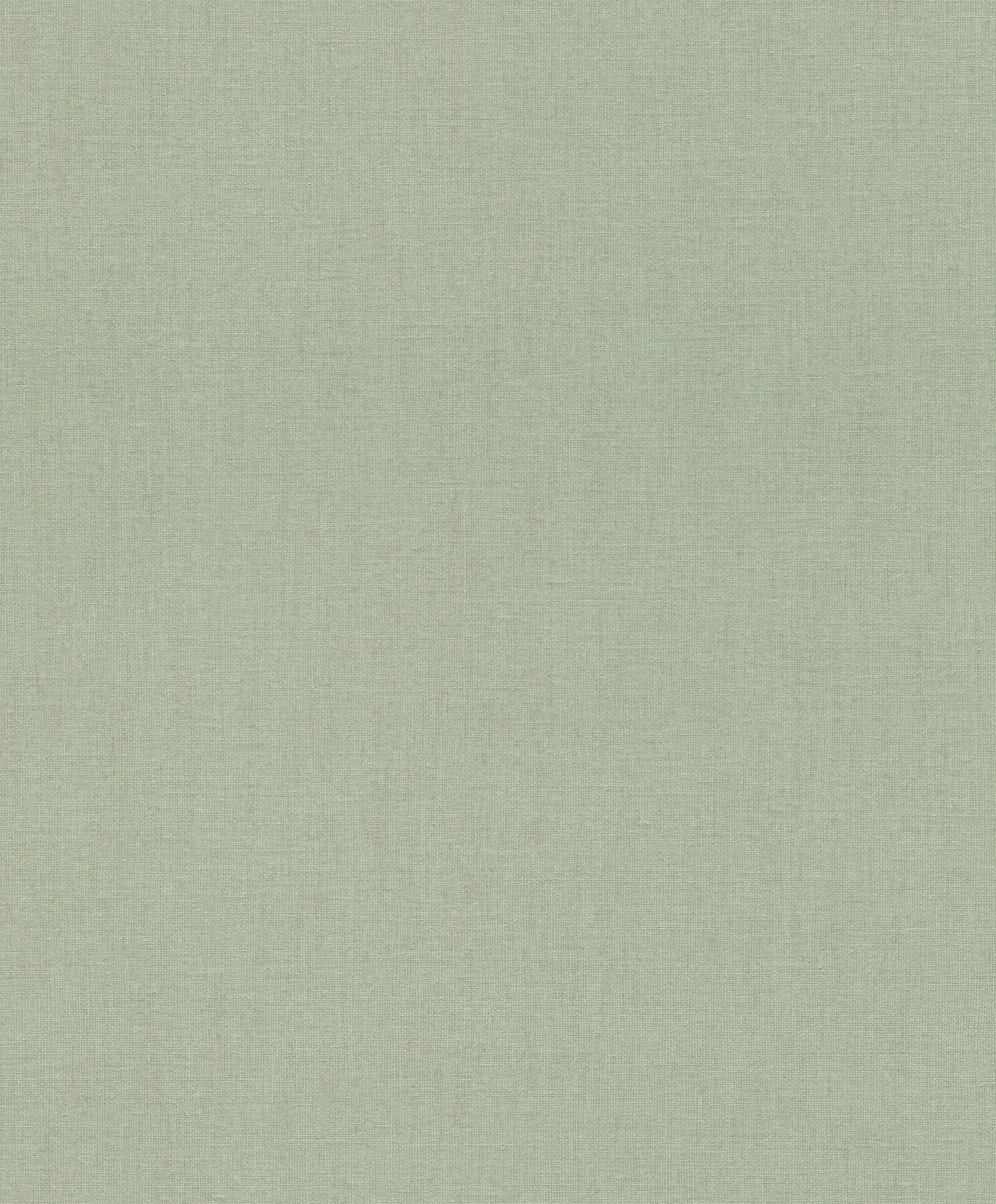 A-Street Prints Naim wallpaper, color Sage, SKU 4202-484588