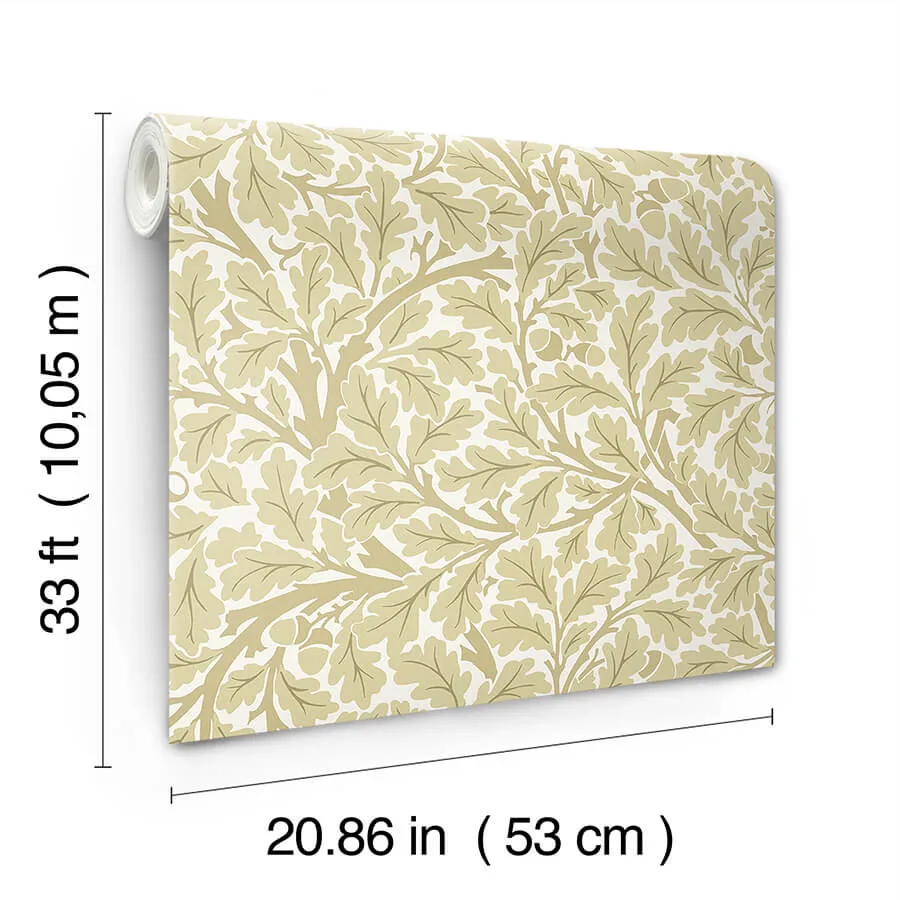 A-Street Prints Oak Tree - Light Yellow Wallpaper | Buy Online A-Street Prints Oak Tree wallpaper, color Light Yellow, SKU 4153-82027