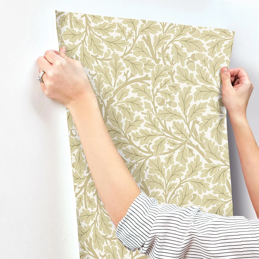 A-Street Prints Oak Tree - Light Yellow Wallpaper | Buy Online A-Street Prints Oak Tree wallpaper, color Light Yellow, SKU 4153-82027
