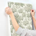 A-Street Prints Oakcliff - Sage Wallpaper | Buy Online A-Street Prints Oakcliff wallpaper, color Sage, SKU AST6355