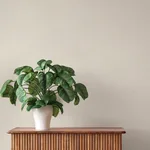 A-Street Prints Oren - Ash Wallpaper | Buy Online A-Street Prints Oren wallpaper, color Ash, SKU 4202-844313