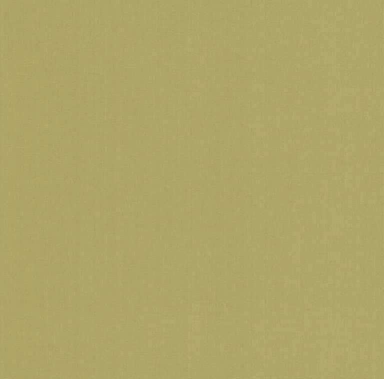 A-Street Prints Qiaohui wallpaper, color Green, SKU 2923-88060