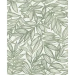A-Street Prints Rhythmic - Sage Wallpaper | Buy Online A-Street Prints Rhythmic wallpaper, color Sage, SKU 4146-27231