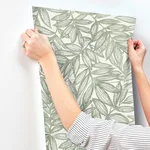 A-Street Prints Rhythmic - Sage Wallpaper | Buy Online A-Street Prints Rhythmic wallpaper, color Sage, SKU 4146-27231