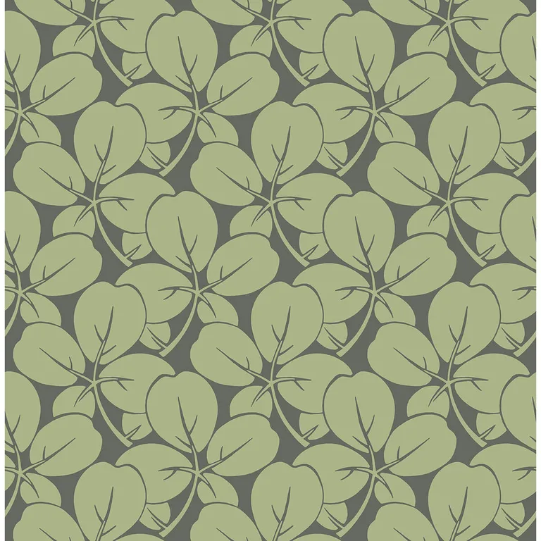 A-Street Prints Robert wallpaper, color Green, SKU 2970-26109