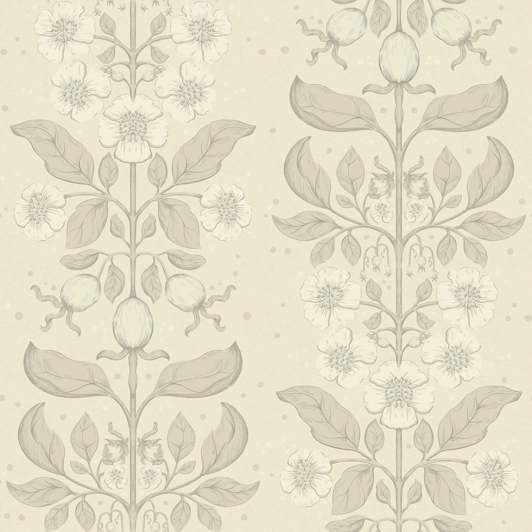 A-Street Prints Rosa wallpaper, color Cream, SKU 4201-48009