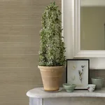 A-Street Prints Sakiya - Neutral Wallpaper | Buy Online A-Street Prints Sakiya wallpaper, color Neutral, SKU 2972-86136