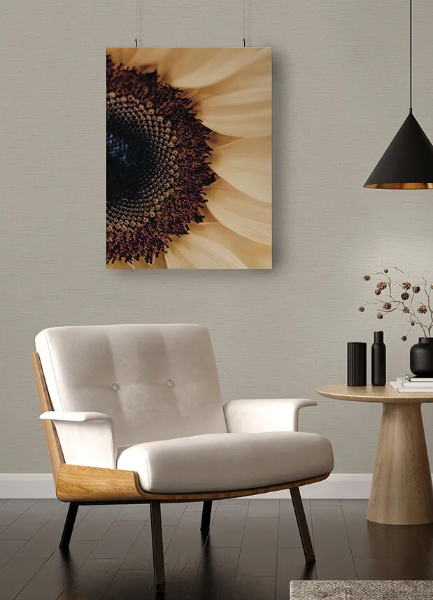 A-Street Prints Salamander - Eggshell Wallpaper | Buy Online A-Street Prints Salamander wallpaper, color Eggshell, SKU 2988-71003