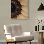 A-Street Prints Shantung wallpaper, color Cream, SKU 2988-70103