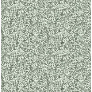 A-Street Prints Soul wallpaper, color Green, SKU 4146-27264