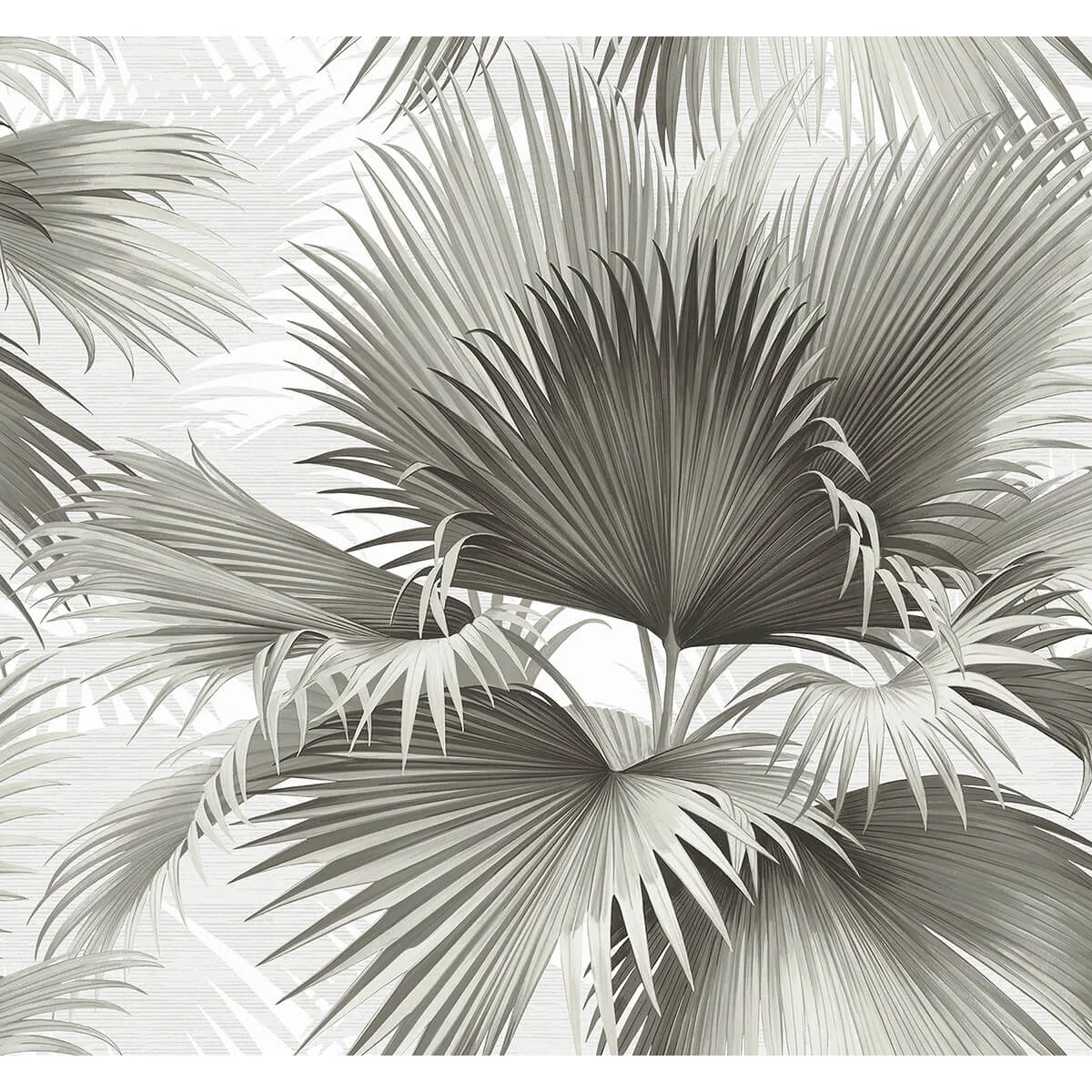 A-Street Prints Summer Palm wallpaper, color Charcoal, SKU 2927-40100