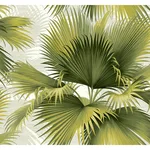 A-Street Prints Summer Palm - Green Wallpaper | Buy Online A-Street Prints Summer Palm wallpaper, color Green, SKU 2927-40114