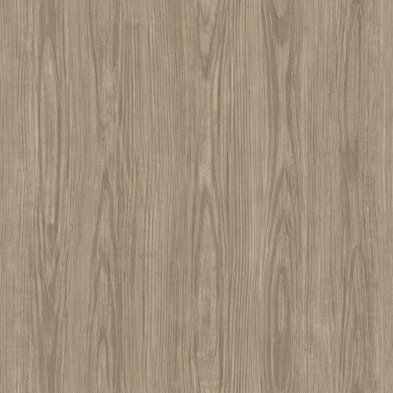 A-Street Prints Tanice wallpaper, color Light Brown, SKU 2922-43056Z