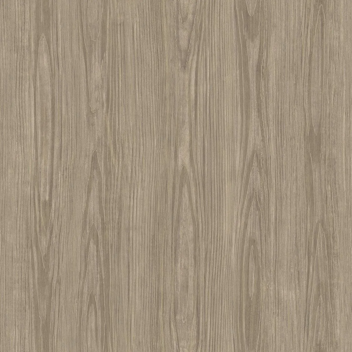 A-Street Prints Tanice wallpaper, color Light Brown, SKU 2922-43056Z