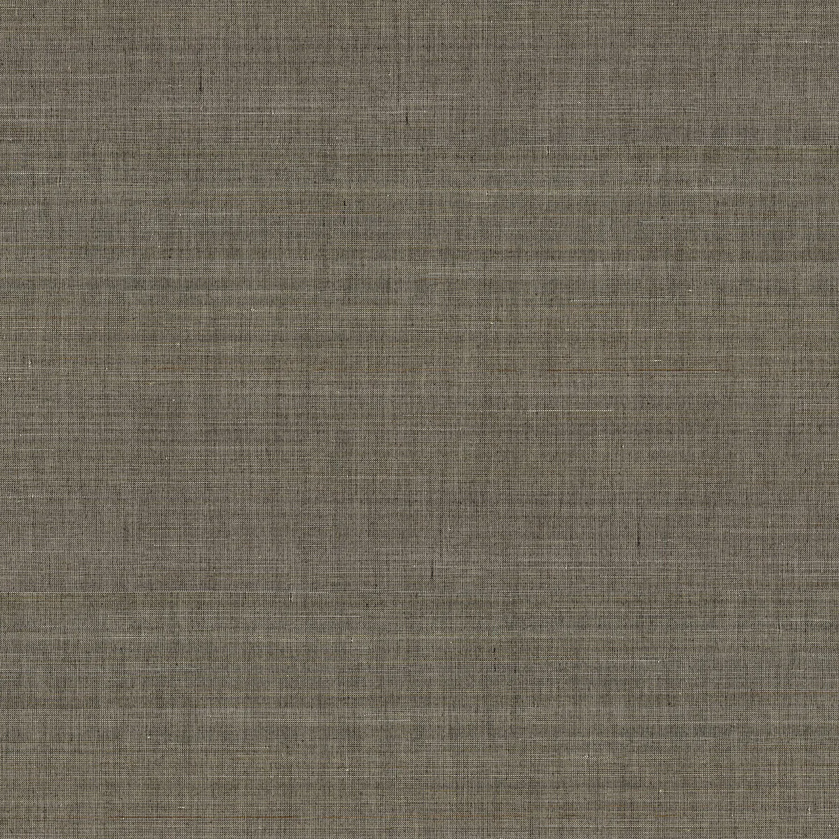 A-Street Prints Tiemao wallpaper, color Brown, SKU 2829-82044