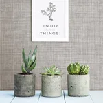 A-Street Prints Tuckernuck wallpaper, color Grey, SKU 2999-24270