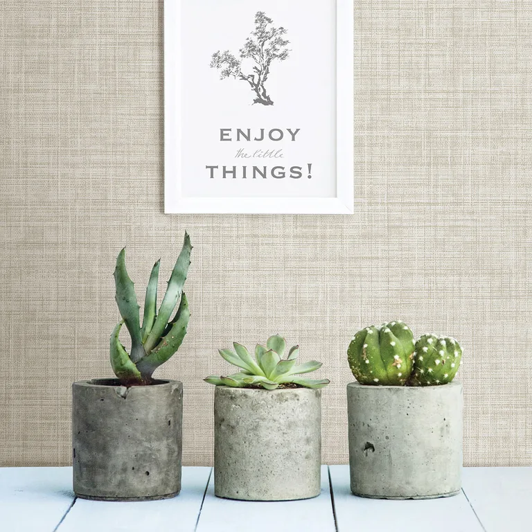 A-Street Prints Tuckernuck wallpaper, color Taupe, SKU 2999-24273