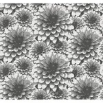 A-Street Prints Umbra wallpaper, color Charcoal, SKU 2861-87518