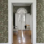 A-Street Prints Vine - Dark Green Wallpaper | Buy Online A-Street Prints Vine wallpaper, color Dark Green, SKU 4153-82020