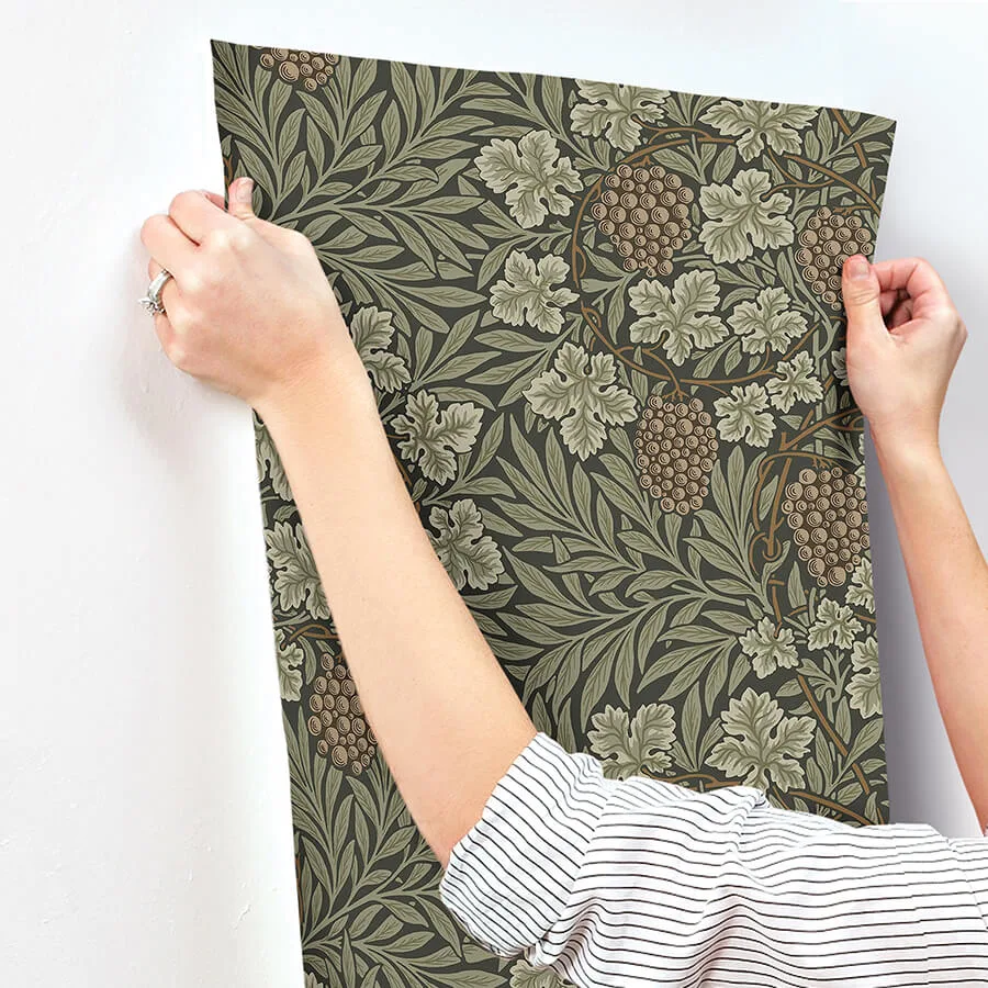 A-Street Prints Vine - Dark Green Wallpaper | Buy Online A-Street Prints Vine wallpaper, color Dark Green, SKU 4153-82020