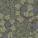 A-Street Prints Vine - Green Wallpaper | Buy Online A-Street Prints Vine wallpaper, color Green, SKU 4153-82019