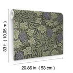 A-Street Prints Vine - Green Wallpaper | Buy Online A-Street Prints Vine wallpaper, color Green, SKU 4153-82019