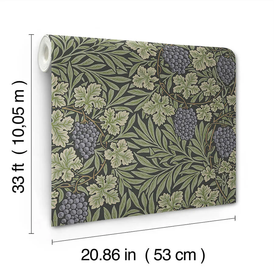 A-Street Prints Vine - Green Wallpaper | Buy Online A-Street Prints Vine wallpaper, color Green, SKU 4153-82019