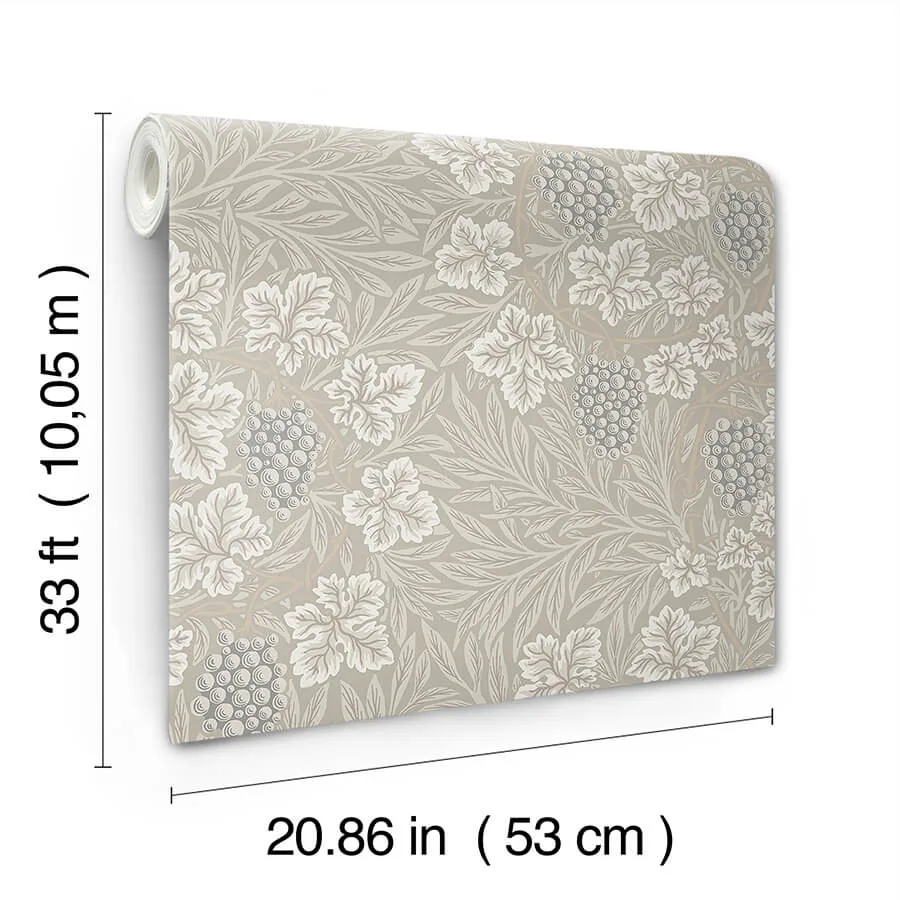 A-Street Prints Vine - Light Grey Wallpaper | Buy Online A-Street Prints Vine wallpaper, color Light Grey, SKU 4153-82017