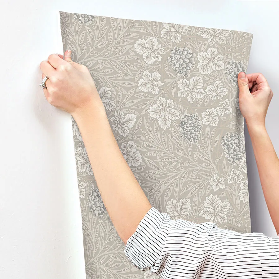 A-Street Prints Vine - Light Grey Wallpaper | Buy Online A-Street Prints Vine wallpaper, color Light Grey, SKU 4153-82017