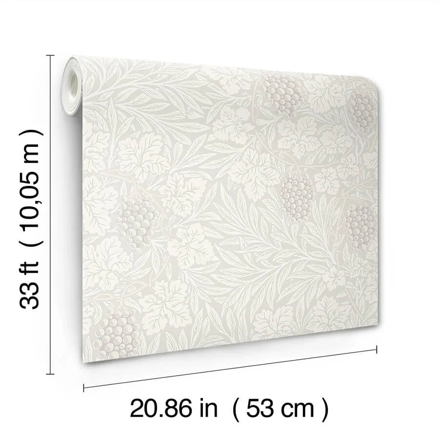 A-Street Prints Vine wallpaper, color White, SKU 4153-82016