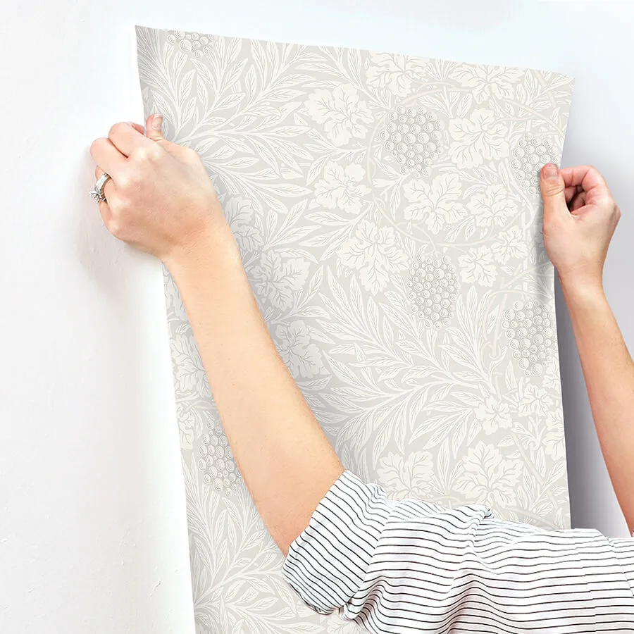 A-Street Prints Vine wallpaper, color White, SKU 4153-82016