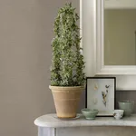 Advantage Canseco - Beige Wallpaper | Buy Online Advantage Canseco wallpaper, color Beige, SKU 4044-30689-3