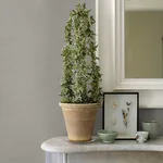 Advantage Canseco wallpaper, color Grey, SKU 4044-30689-4
