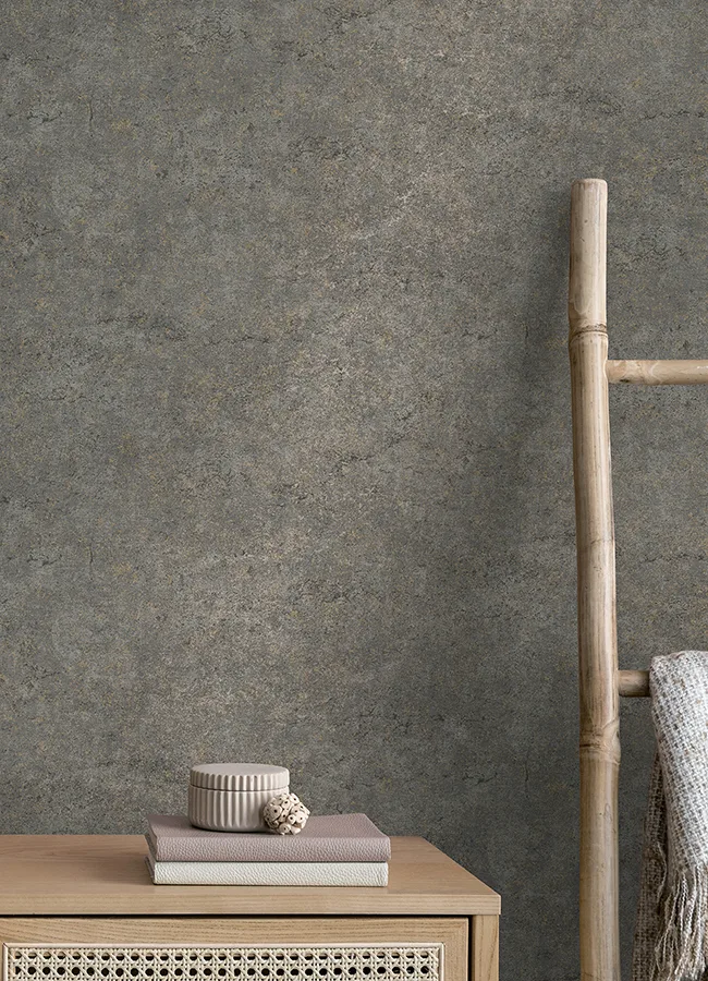Advantage Colt - Charcoal Wallpaper | Buy Online Advantage Colt wallpaper, color Charcoal, SKU 4125-26754