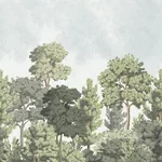 Advantage Delamere wallpaper, color Green, SKU 4164-50944