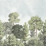 Advantage Delamere wallpaper, color Green, SKU 4164-50944