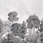 Advantage Delamere - Mono Wallpaper | Buy Online Advantage Delamere wallpaper, color Mono, SKU 4164-50945