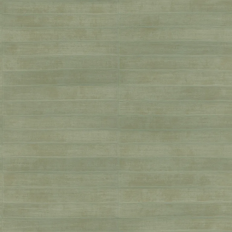 Advantage Dermot wallpaper, color Light Green, SKU 4041-418484