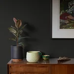 Advantage Estefan - Black Wallpaper | Buy Online Advantage Estefan wallpaper, color Black, SKU 4044-37178-1