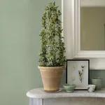 Advantage Estefan - Green Wallpaper | Buy Online Advantage Estefan wallpaper, color Green, SKU 4044-37178-8