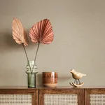 Advantage Estefan - Neutral Wallpaper | Buy Online Advantage Estefan wallpaper, color Neutral, SKU 4044-37178-2