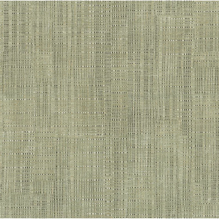 Advantage Rattan wallpaper, color Green, SKU 4168-17732