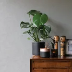 Advantage Ryu - Light Grey Wallpaper | Buy Online Advantage Ryu wallpaper, color Light Grey, SKU 4035-37656-8