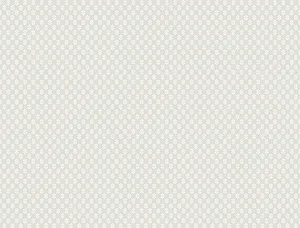 Antonina Vella Brioni wallpaper, color Grey, SKU VP1395