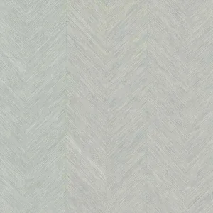 Antonina Vella Chevron wallpaper, color Grey Metallic, SKU BO6603