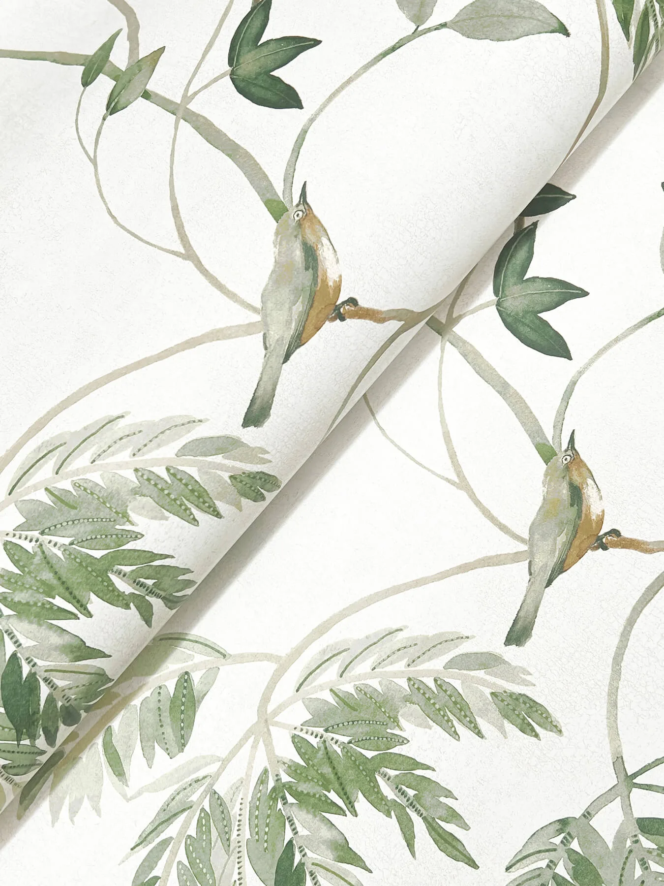 Antonina Vella Cillian - Dark Green Wallpaper | Buy Online Antonina Vella Cillian wallpaper, color Dark Green, SKU LL3251