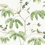 Antonina Vella Cillian - Green Wallpaper | Buy Online Antonina Vella Cillian wallpaper, color Green, SKU LL3250